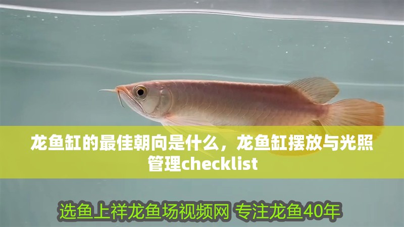 龍魚缸的最佳朝向是什么，龍魚缸擺放與光照管理checklist