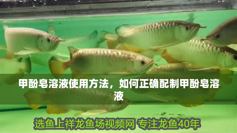 甲酚皂溶液使用方法，如何正確配制甲酚皂溶液
