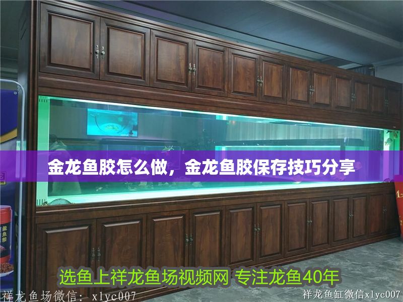 金龍魚膠怎么做，金龍魚膠保存技巧分享