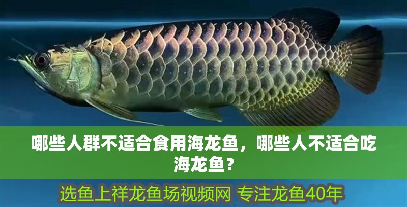 哪些人群不適合食用海龍魚，哪些人不適合吃海龍魚？