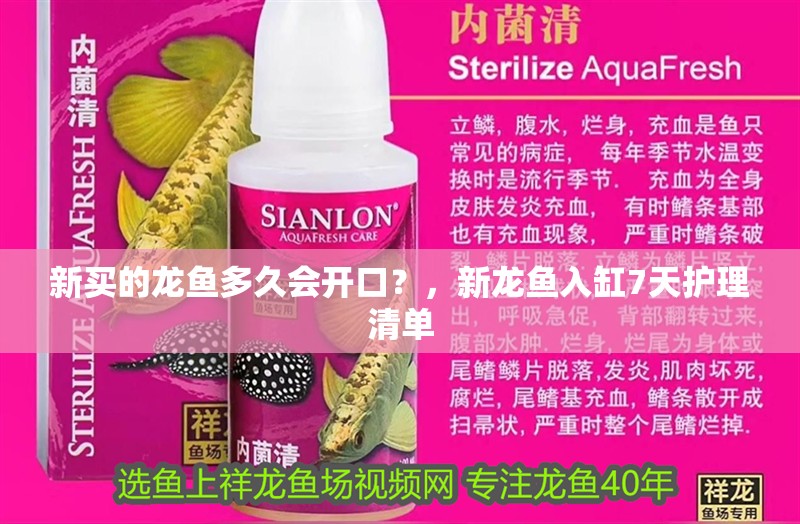 新買的龍魚多久會開口？，新龍魚入缸7天護理清單