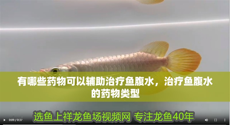 有哪些藥物可以輔助治療魚腹水，治療魚腹水的藥物類型