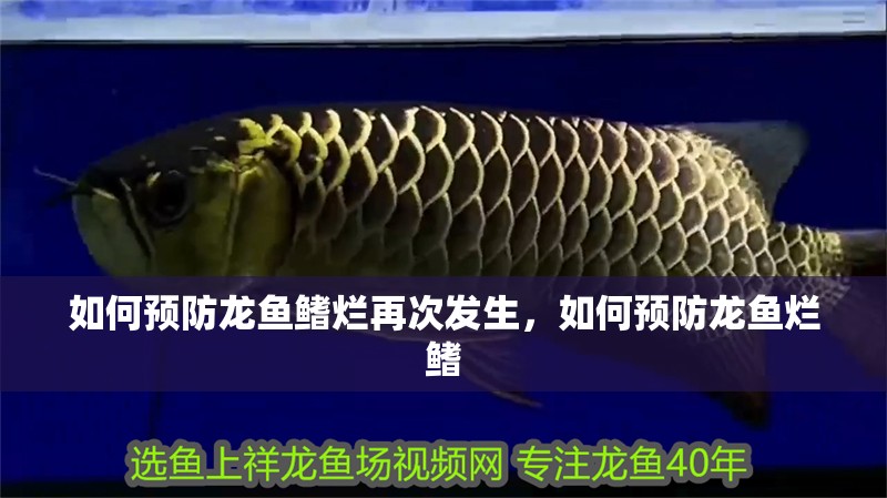 如何預(yù)防龍魚鰭爛再次發(fā)生，如何預(yù)防龍魚爛鰭