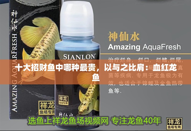 十大招財魚中哪種最貴，以與之比肩：血紅龍魚