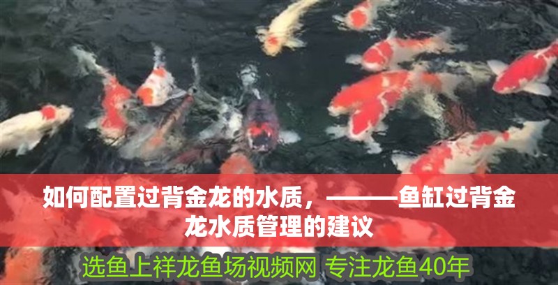 如何配置過背金龍的水質，———魚缸過背金龍水質管理的建議
