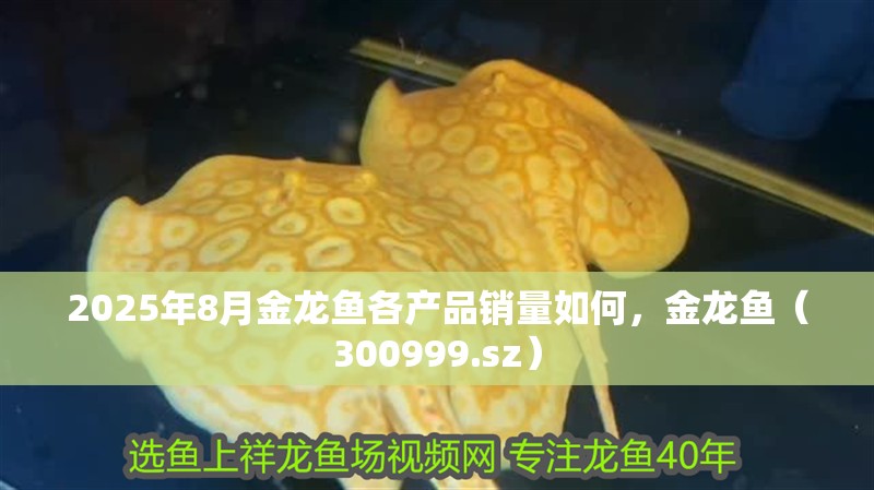 2025年8月金龍魚各產品銷量如何，金龍魚（300999.sz） 2025年8月金龍魚各產品銷量如何，金龍魚（300999.sz） 龍魚百科