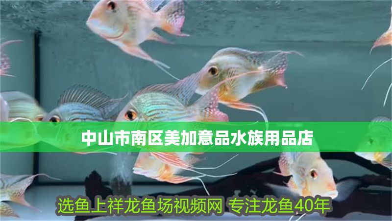 中山市南區美加意品水族用品店