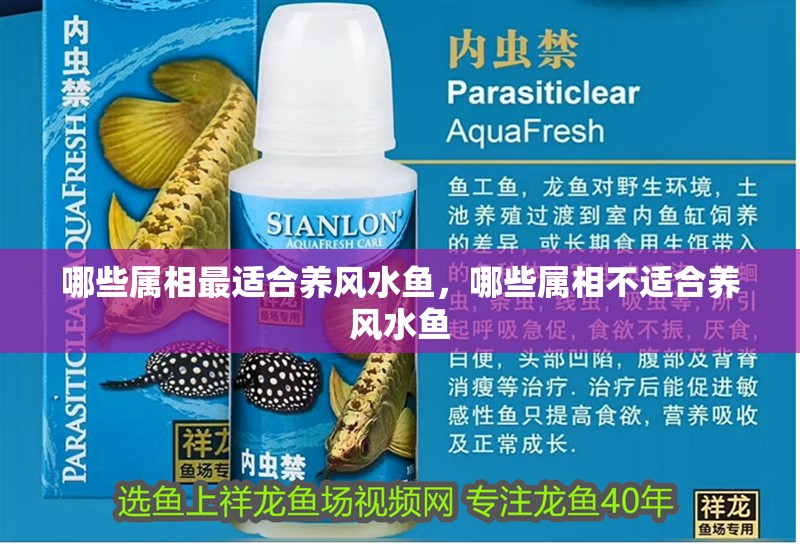 魚缸用增氧泵價格是多少:魚缸增氧機-xtrac增氧機-xtrac增氧機 哪些屬相最適合養風水魚,哪些屬相不適合養風水魚 龍魚百科 哪些屬相最適合養風水魚,哪些屬相不適合養風水魚 哪些屬相最適合養風水魚,哪些屬相不適合養風水魚 龍魚百科