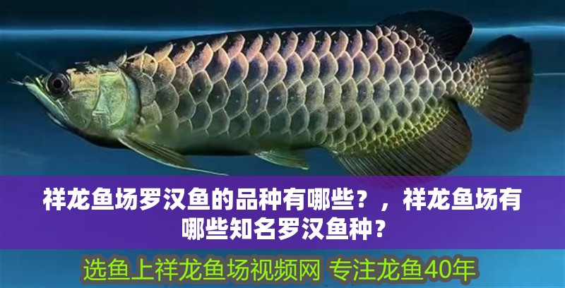 祥龍魚場羅漢魚的品種有哪些？，祥龍魚場有哪些知名羅漢魚種？