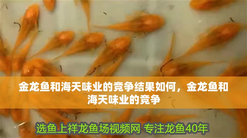 金龍魚和海天味業的競爭結果如何，金龍魚和海天味業的競爭