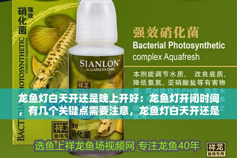 龍魚燈白天開還是晚上開好：龍魚燈開閉時間，有幾個關鍵點需要注意，龍魚燈白天開還是晚上開好