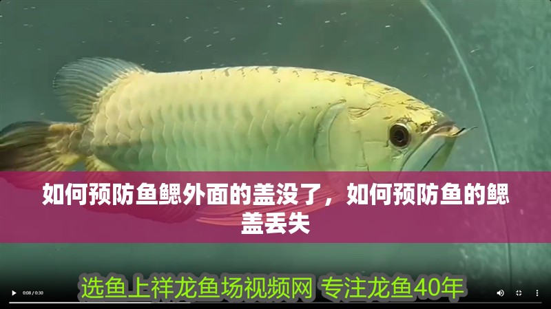 如何預防魚鰓外面的蓋沒了，如何預防魚的鰓蓋丟失