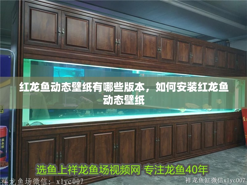 紅龍魚動態壁紙有哪些版本，如何安裝紅龍魚動態壁紙