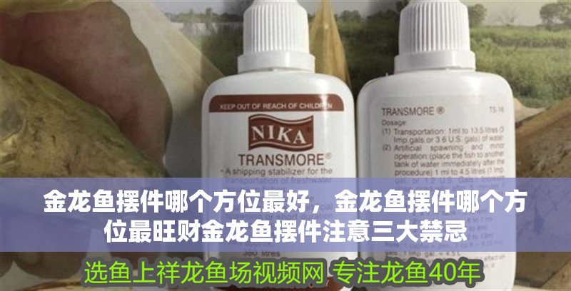 金龍魚擺件哪個方位最好，金龍魚擺件哪個方位最旺財金龍魚擺件注意三大禁忌 金龍魚擺件哪個方位最好，金龍魚擺件哪個方位最旺財金龍魚擺件注意三大禁忌 龍魚百科