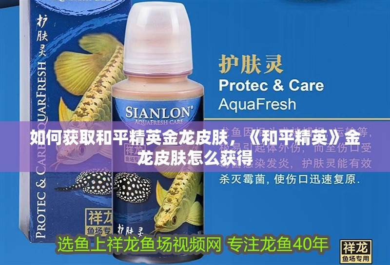 如何獲取<strong><mark>和平</mark></strong>精英金龍皮膚，《<strong><mark>和平</mark></strong>精英》金龍皮膚怎么獲得