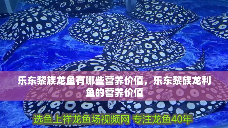 樂東黎族龍魚有哪些營養價值，樂東黎族龍利魚的營養價值