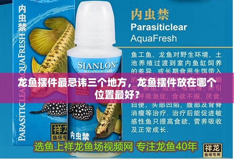 龍魚擺件最忌諱三個地方，龍魚擺件放在哪個位置最好？