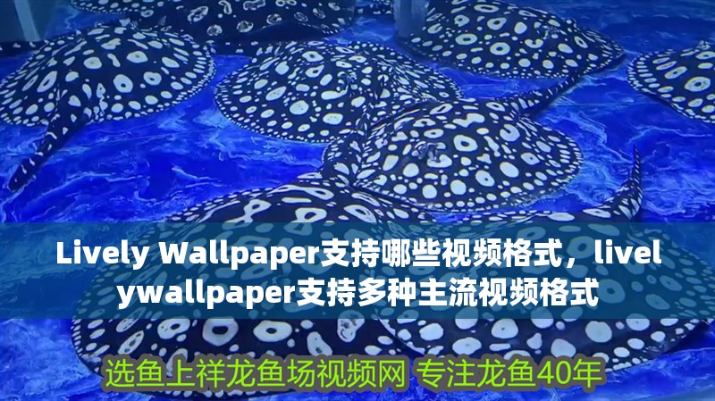 Lively Wallpaper支持哪些視頻格式，livelywallpaper支持多種主流視頻格式 Lively Wallpaper支持哪些視頻格式，livelywallpaper支持多種主流視頻格式 龍魚百科