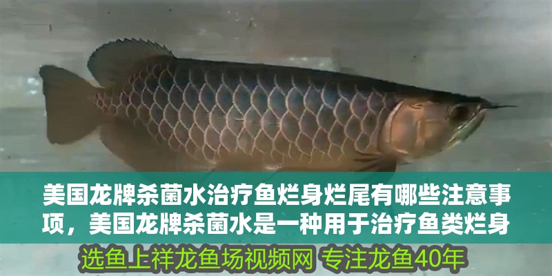 美國龍牌殺菌水治療魚爛身爛尾有哪些注意事項，美國龍牌殺菌水是一種用于治療魚類爛身爛尾的常用藥物