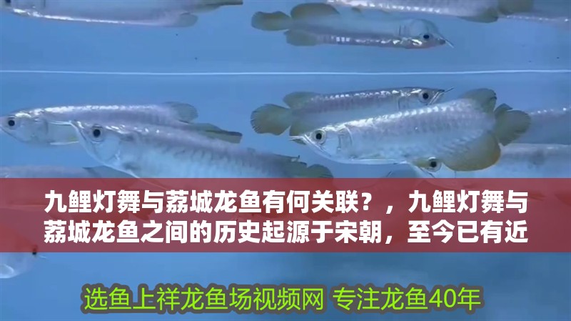九鯉燈舞與荔城龍魚有何關(guān)聯(lián)？，九鯉燈舞與荔城龍魚之間的歷史起源于宋朝，至今已有近千年歷史 九鯉燈舞與荔城龍魚有何關(guān)聯(lián)？，九鯉燈舞與荔城龍魚之間的歷史起源于宋朝，至今已有近千年歷史 龍魚百科