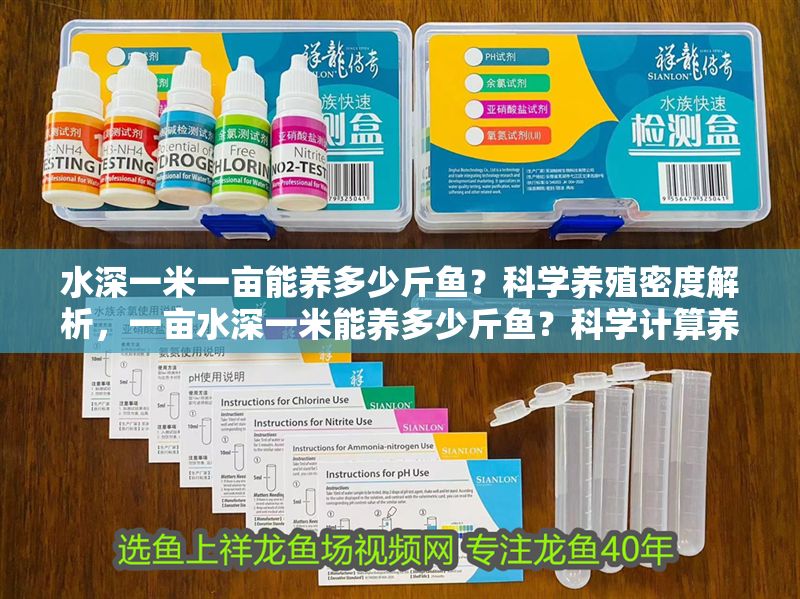 水深一米一畝能養多少斤魚？科學養殖密度解析，一畝水深一米能養多少斤魚？科學計算養殖密度與產量