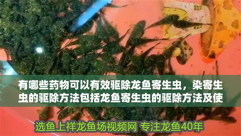 有哪些藥物可以有效驅(qū)除龍魚寄生蟲，染寄生蟲的驅(qū)除方法包括龍魚寄生蟲的驅(qū)除方法及使用方法