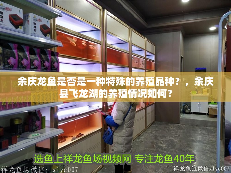 余慶龍魚是否是一種特殊的養(yǎng)殖品種？，余慶縣飛龍湖的養(yǎng)殖情況如何？