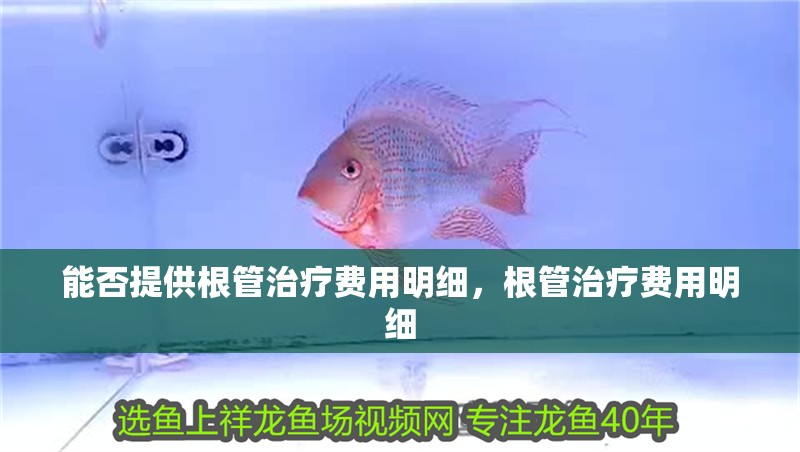 能否提供根管治療費用明細，根管治療費用明細