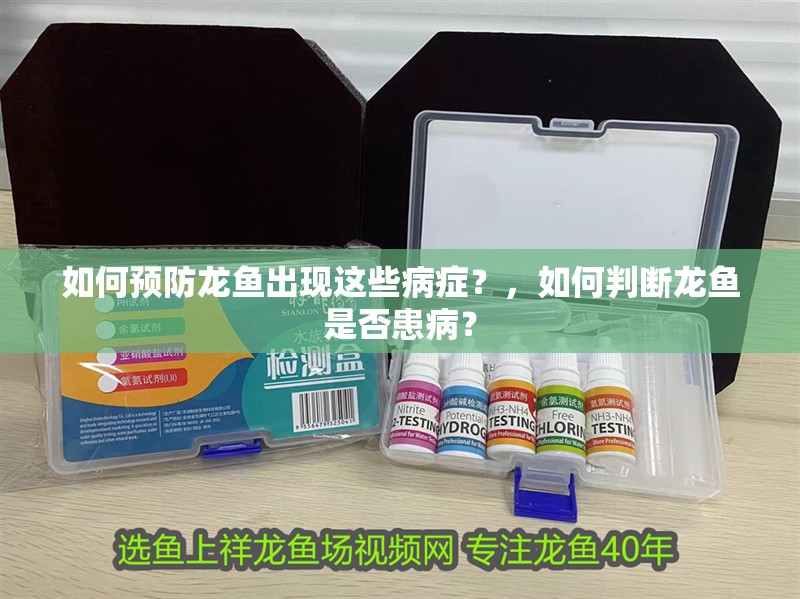 如何預防龍魚出現這些病癥？，如何判斷龍魚是否患病？