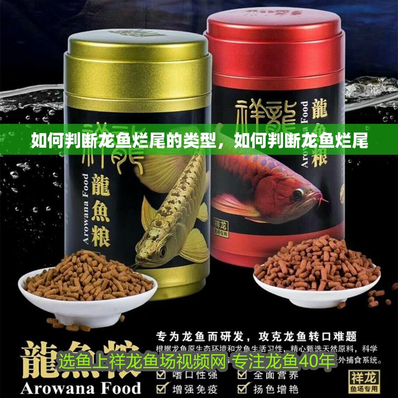 如何判斷龍魚爛尾的類型，如何判斷龍魚爛尾