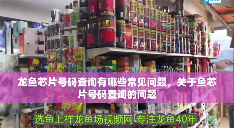 龍魚芯片號碼查詢有哪些常見問題，關于魚芯片號碼查詢的問題