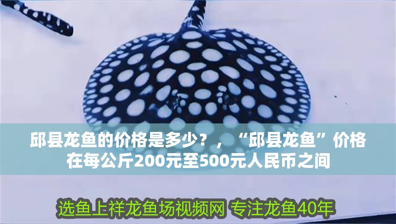 邱縣龍魚的價格是多少？，“邱縣龍魚”價格在每公斤200元至500元人民幣之間