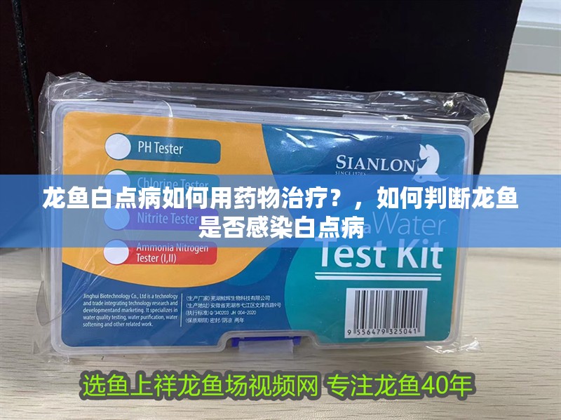 龍魚白點病如何用藥物治療？，如何判斷龍魚是否感染白點病