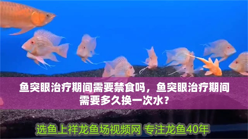 魚突眼治療期間需要禁食嗎，魚突眼治療期間需要多久換一次水？