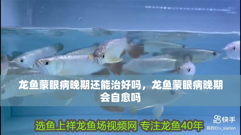 龍魚蒙眼病晚期還能治好嗎，龍魚蒙眼病晚期會自愈嗎