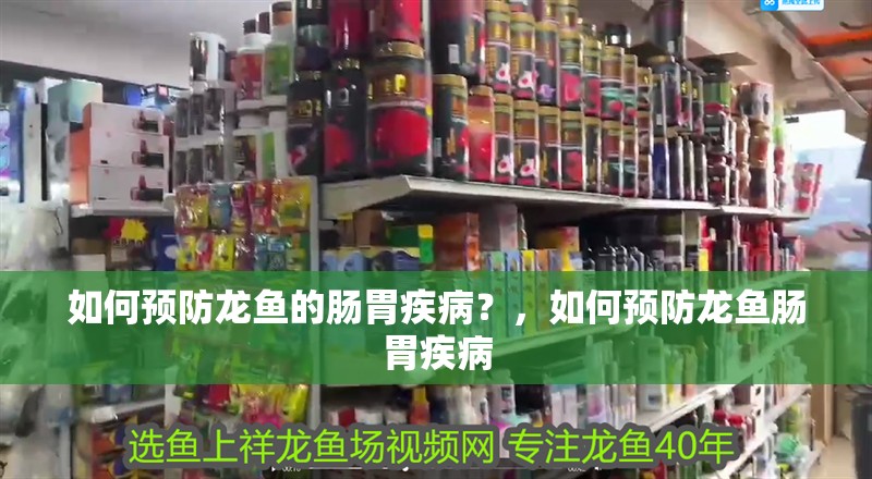 如何預防龍魚的腸胃疾病？，如何預防龍魚腸胃疾病