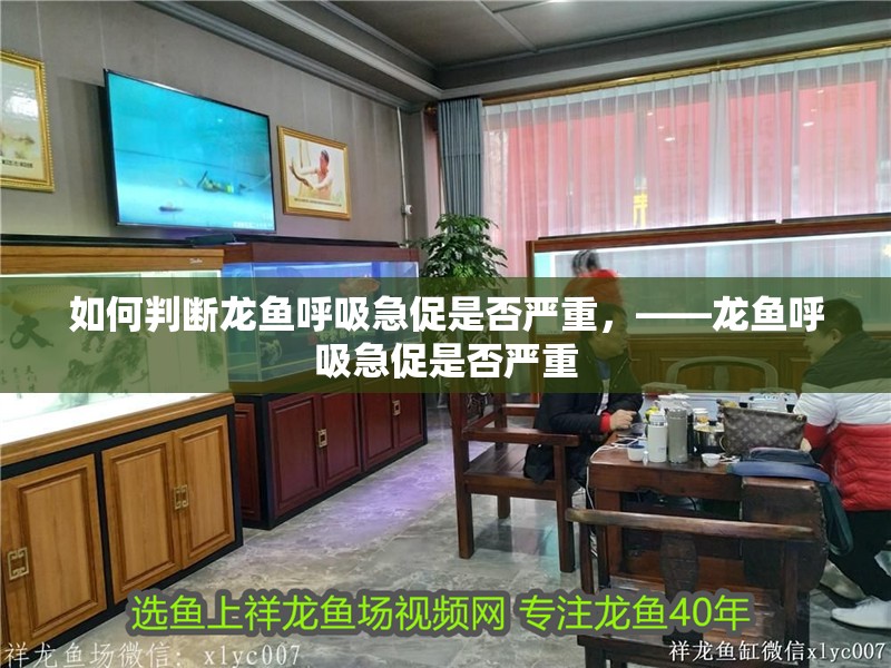 如何判斷龍魚呼吸急促是否嚴(yán)重，——龍魚呼吸急促是否嚴(yán)重