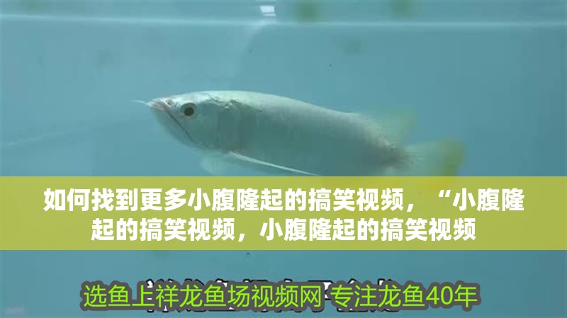 如何找到更多小腹隆起的搞笑視頻，“小腹隆起的搞笑視頻，小腹隆起的搞笑視頻