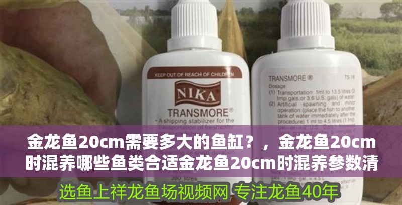 金龍魚20cm需要多大的魚缸？，金龍魚20cm時(shí)混養(yǎng)哪些魚類合適金龍魚20cm時(shí)混養(yǎng)參數(shù)清單