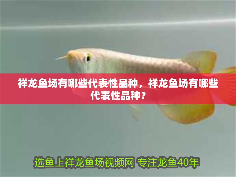 祥龍魚場有哪些代表性品種，祥龍魚場有哪些代表性品種？