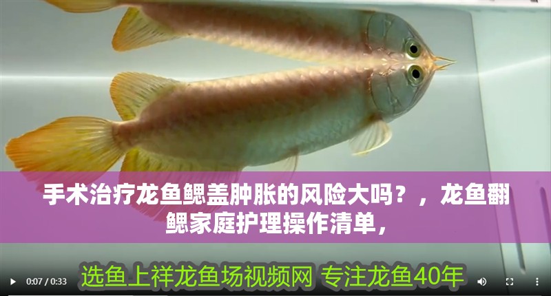手術治療龍魚鰓蓋腫脹的風險大嗎？，龍魚翻鰓家庭護理操作清單，