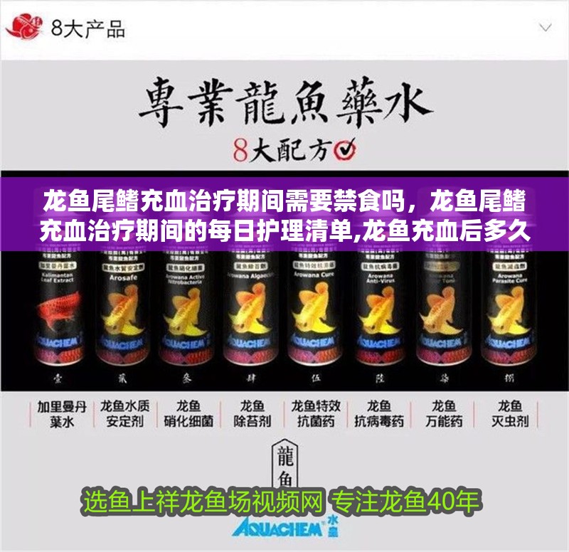 龍魚尾鰭充血治療期間需要禁食嗎，龍魚尾鰭充血治療期間的每日護理清單,龍魚充血后多久會恢復