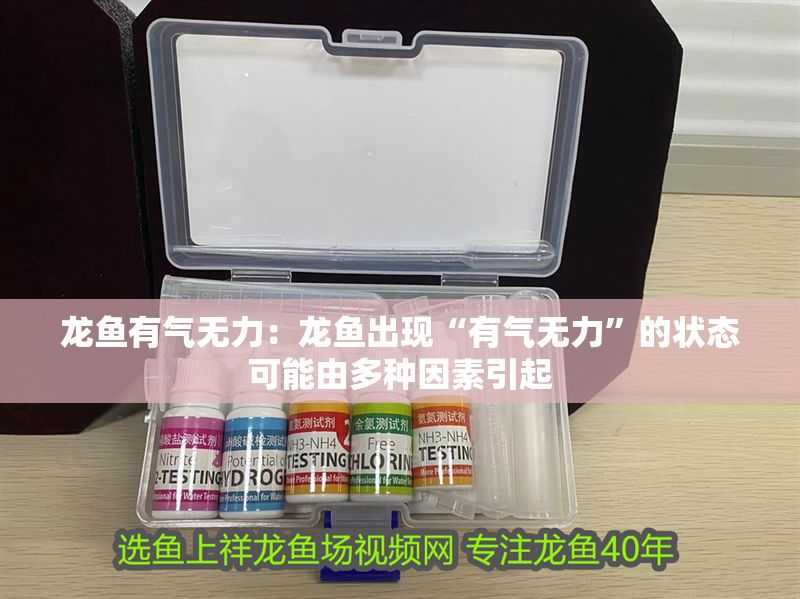龍魚有氣無力：龍魚出現“有氣無力”的狀態可能由多種因素引起