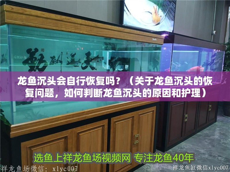 龍魚沉頭會自行恢復嗎？（關于龍魚沉頭的恢復問題，如何判斷龍魚沉頭的原因和護理）