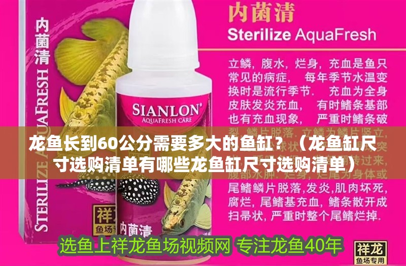 龍魚長到60公分需要多大的魚缸？（龍魚缸尺寸選購清單有哪些龍魚缸尺寸選購清單）