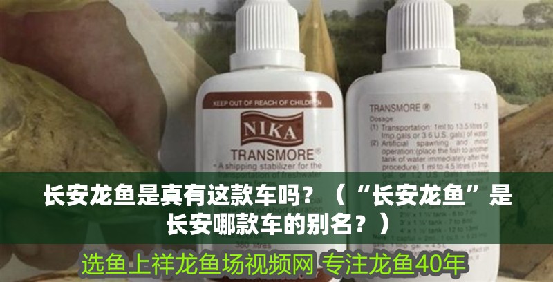 長安龍魚是真有這款車嗎？（“長安龍魚”是長安哪款車的別名？）