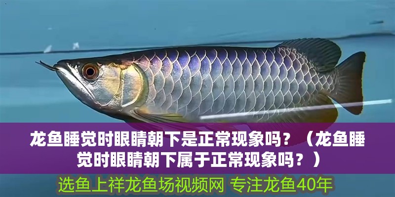龍魚睡覺時眼睛朝下是正常現象嗎？（龍魚睡覺時眼睛朝下屬于正常現象嗎？）