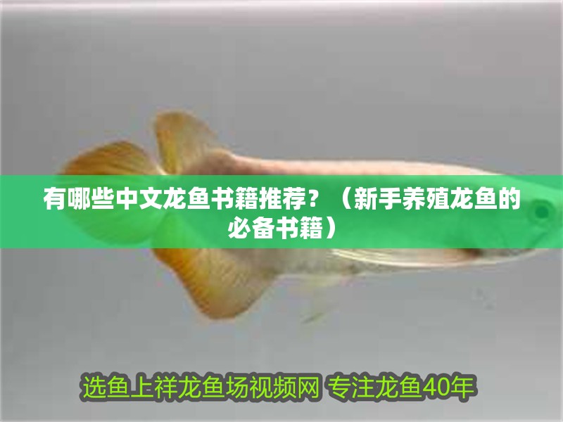 有哪些中文龍魚書籍推薦？（新手養殖龍魚的必備書籍）