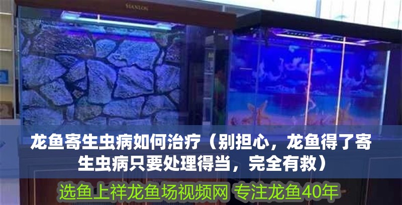 龍魚寄生蟲病如何治療（別擔心，龍魚得了寄生蟲病只要處理得當，完全有救）
