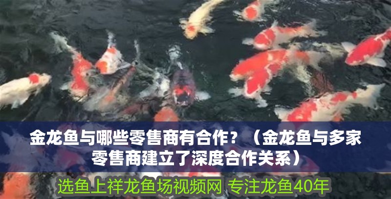 金龍魚與哪些零售商有<strong><mark>合作</mark></strong>？（金龍魚與多家零售商建立了深度<strong><mark>合作</mark></strong>關系）